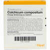 Colchicum Compositum Ampullen 10 Stück - ab 14,87 €