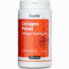 Collagen Pulver Kollagen Hydrolysat Peptide Rind  480 g - ab 24,33 €