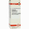 Collinsonia Canadens D2 Dilution 20 ml - ab 11,40 €