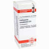 Collinsonia Canadens D6 Globuli 10 g - ab 7,55 €