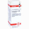 Colocynthis C200 Globuli 10 g - ab 11,62 €