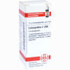 Colocynthis C200 Globuli 10 g - ab 11,65 €