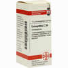 Colocynthis C30 Globuli 10 g - ab 7,25 €