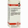Colocynthis D4 Globuli 10 g - ab 6,98 €