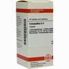 Colocynthis D4 Tabletten 80 Stück - ab 7,84 €