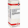 Colocynthis D6 Dilution 20 ml - ab 7,42 €
