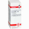 Colocynthis D6 Globuli 10 g - ab 5,54 €