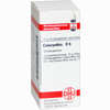 Colocynthis D6 Globuli 10 g - ab 6,98 €