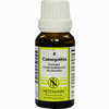 Colocynthis Kompl Nestm 8 Dilution 20 ml - ab 5,15 €