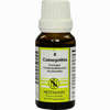 Colocynthis Kompl Nestm 8 Dilution 20 ml - ab 9,34 €