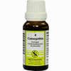 Colocynthis Kompl Nestm 8 Dilution 20 ml - ab 9,04 €