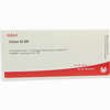 Colon Gl D6 Ampullen 10 x 1 ml - ab 20,05 €