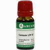 Conium Arca Lm 6 10 ml - ab 7,69 €