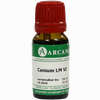 Conium Arca Lm 6 10 ml - ab 7,66 €