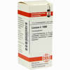 Conium C1000 Globuli 10 g - ab 33,45 €
