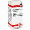 Conium D6 Globuli DHU-Arzneimittel GmbH & Co. KG 10 g - ab 6,98 €