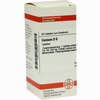 Conium D6 Tabletten 80 Stück - ab 7,84 €