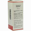 Conium N Oligoplex Liquidum 50 ml