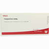 Conjunctiva Comp Ampullen 10 x 1 ml - ab 19,41 €