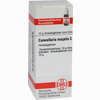 Convallaria Majal C30 Globuli 10 g - ab 7,84 €