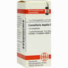 Convallaria Majal D3 Globuli 10 g - ab 7,55 €