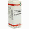 Convallaria Majal D4 Dilution 20 ml - ab 8,69 €