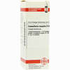 Convallaria Majal D6 Dilution 20 ml - ab 11,08 €