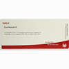 Cor/aurum Ii Ampullen 10 x 1 ml - ab 19,68 €