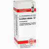 Corallium Rubr D10 Globuli 10 g - ab 6,95 €