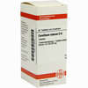Corallium Rubrum D6 Tabletten 80 Stück - ab 7,80 €