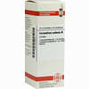 Coriandrum Sativum Urt=d 1 Dilution 20 ml - ab 0,00 €