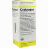 Crataegus Ad Usum Vet Dilution 250 ml - ab 27,32 €