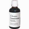 Cubebenextrakt Würzzubereitung Fluid 50 ml - ab 11,69 €