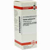 Cuprum Acet D6 Dilution 20 ml - ab 8,69 €