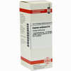 Cuprum Acet D6 Dilution 20 ml - ab 8,10 €