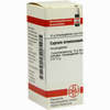 Cuprum Arsenic D10 Globuli 10 g - ab 5,49 €