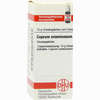 Cuprum Arsenicosum C200 Globuli 10 g - ab 12,34 €