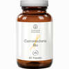 Curcuma Forte Bio + Bioperine - Vegan Kapseln 60 Stück - ab 23,52 €