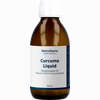 Curcuma Liquid Phytokomplex + Vitamin C Gepuffert 250 MG - ab 33,96 €