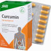 Curcumin 136 Bioaktiv Kapseln Salus 60 Stück - ab 27,53 €