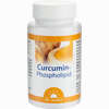 Curcumin- Phospholipid Dr. Jacobs Kapseln 60 Stück - ab 24,07 €