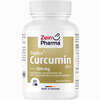 Curcumin Triplex3 Kapseln 500mg  40 Stück - ab 13,97 €