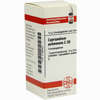 Cypripedium Pubes. C30 Globuli 10 g - ab 7,74 €