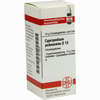 Cypripedium Pubesc D12 Globuli 10 g - ab 7,55 €