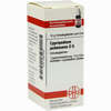 Cypripedium Pubesc D6 Globuli 10 g - ab 7,55 €