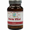 Darm Vital Kapseln 60 Stück - ab 17,70 €