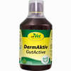 Darmaktiv Vet 500 ml - ab 15,66 €