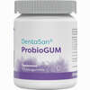 Dentasan Probiogum Spearmint Kaugummi 30 Stück - ab 4,86 €