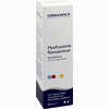 Dermasence Hyalusome Konzentrat 30 ml