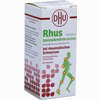 Dhu Rhus Toxicodendron D6 bei Rheumatischen Schmerzen Tabletten 80 Stück - ab 8,31 €